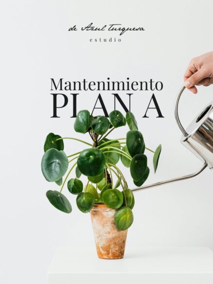 Mantenimiento WordPress Plan A